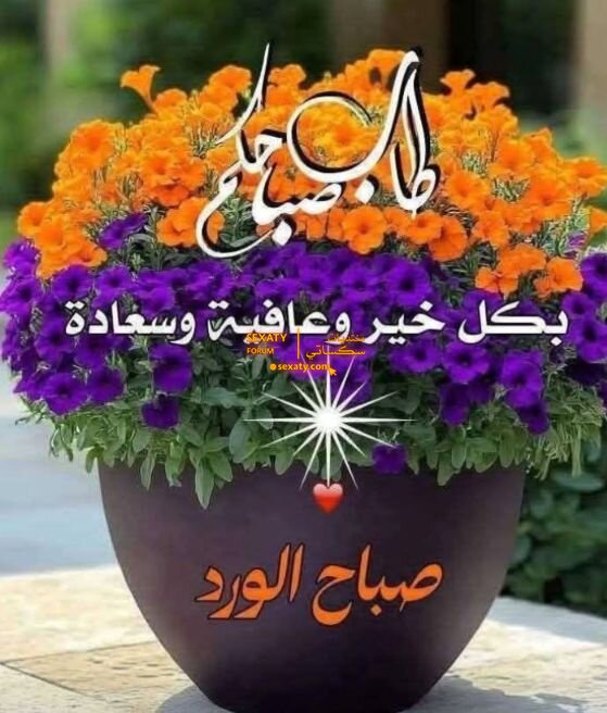 Screenshot_٢٠٢٦٠١١٣-٠٨٠٦٥٣.jpg